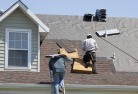 Ivanhoeskylights-2.jpg; ?>